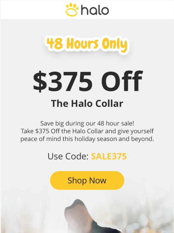 Halo Collar 48 Hours Only Get 375 Off Milled