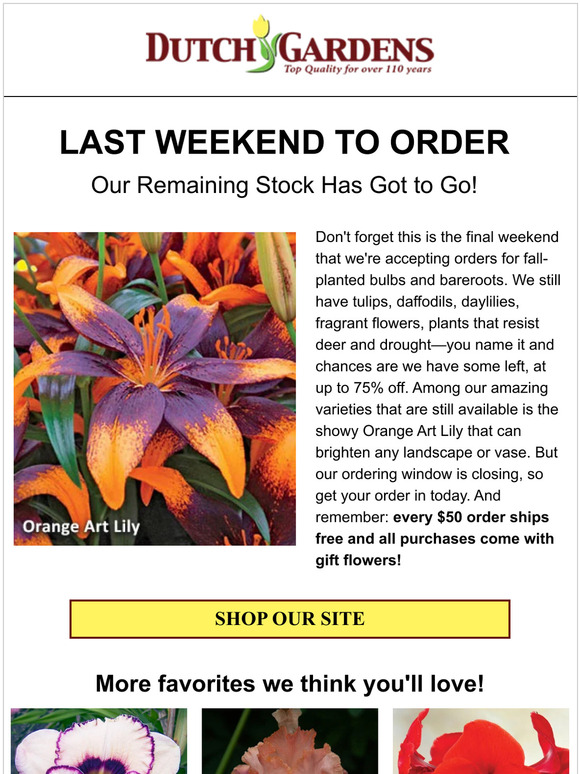 It’s here—your final weekend for ordering!