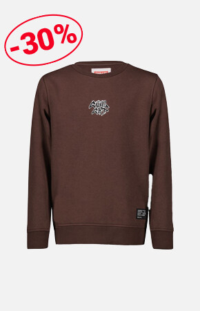Sweater relaxed fit Brown
