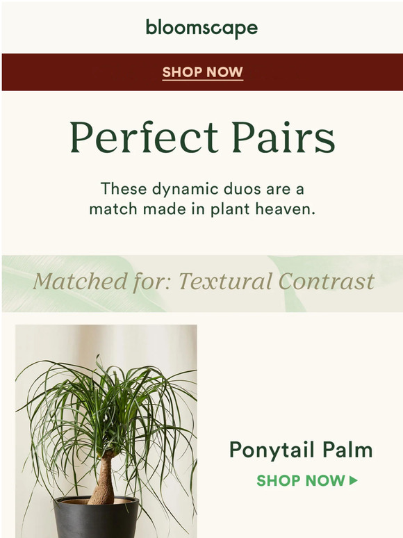 Bloomscape Matches made in plant heaven 😇 Milled