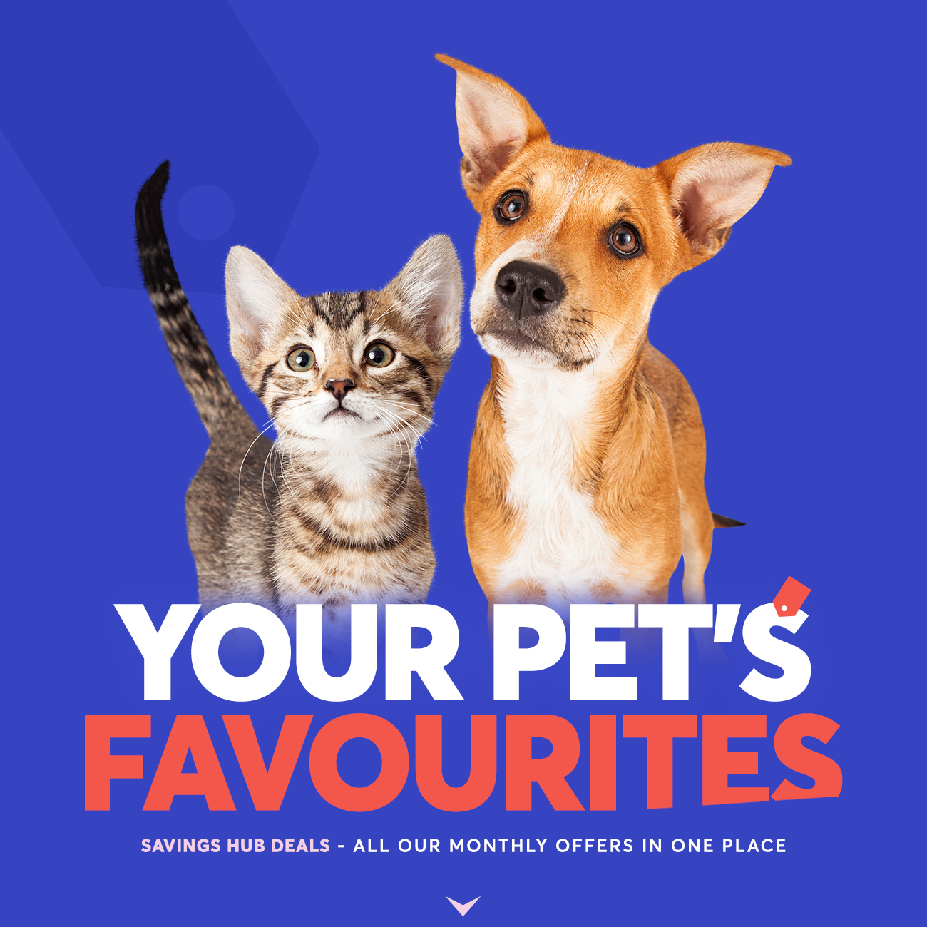 My Pet Warehouse Your Pet's Favourites in one place Milled