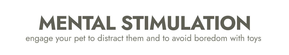 MENTAL STIMULATION: SHOP TOYS