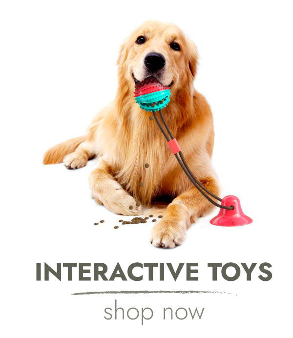 SHOP INTERACTIVE TOYS