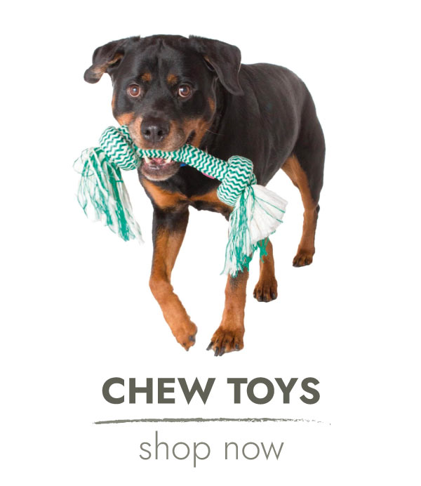 SHOP CHEW TOYS