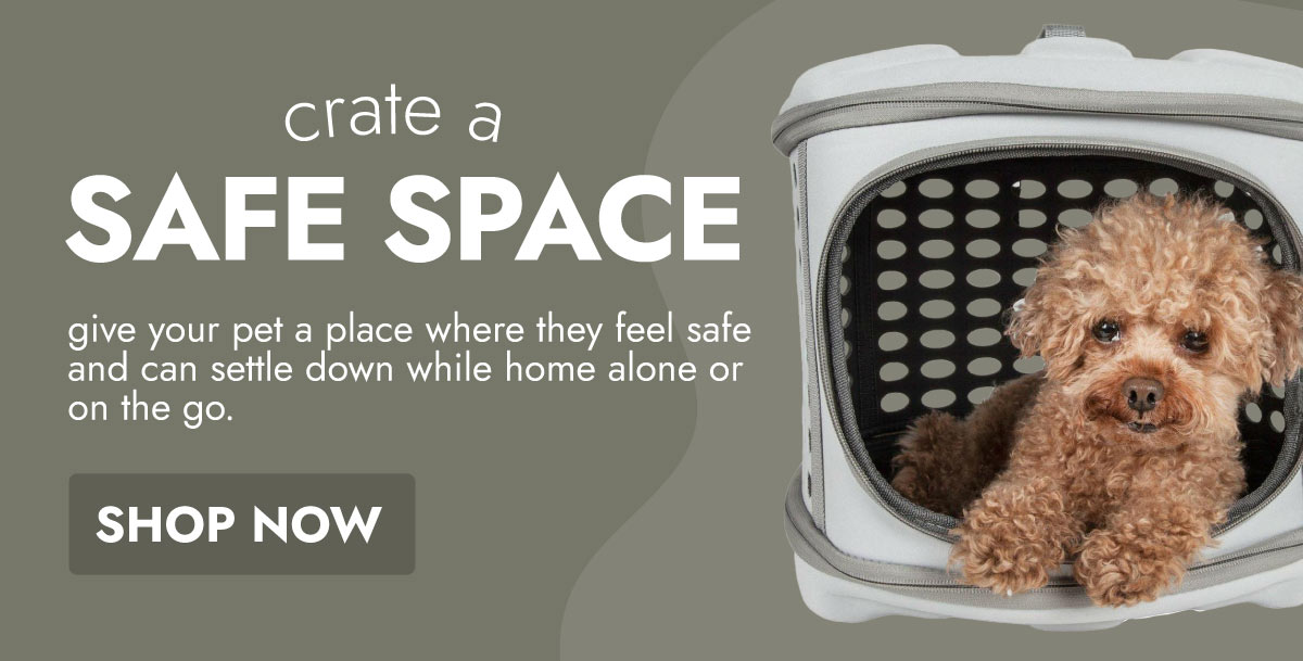 CRATE A SAFE SPACE