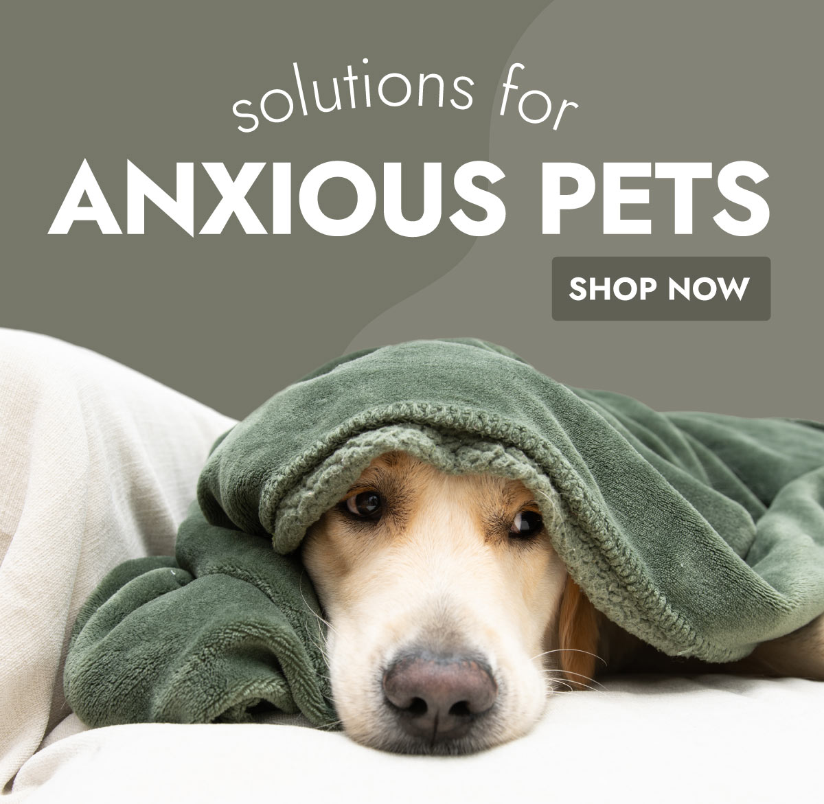 SOLUTUONS FOR ANXIOUS PETS