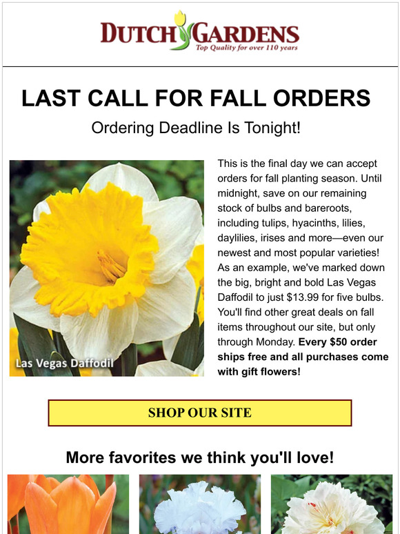 ⚠️ Don’t miss out—final day to order!
