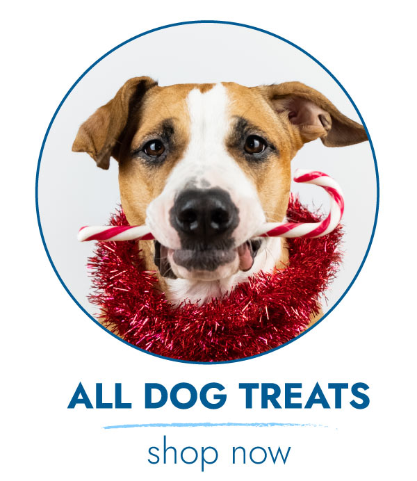 SHOP DOG TREATS