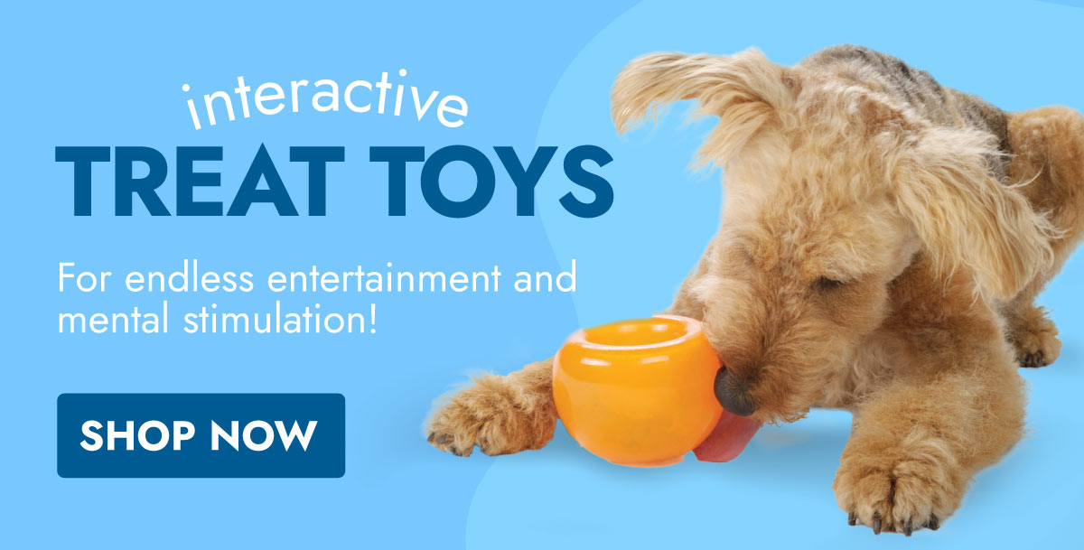 SHOP INTERACTIVE TREAT TOYS