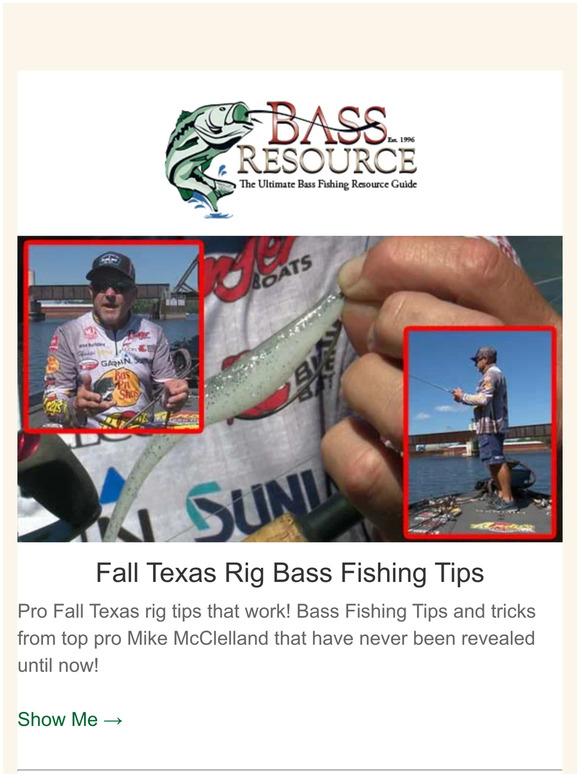 Four Baits For Your Ned Rig That Aren't A Stubby Worm