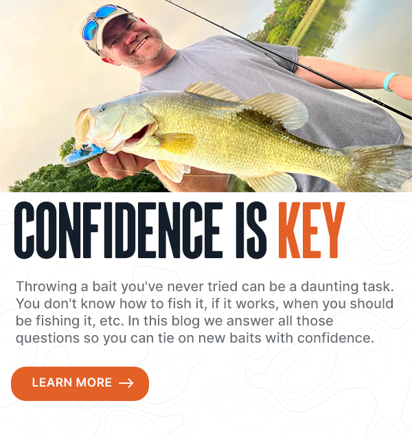 MONSTERBASS: Confidence Is Key
