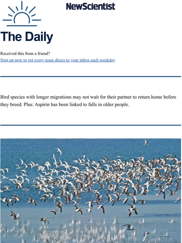 New Scientist 'Divorce' rates are higher in birds that travel long