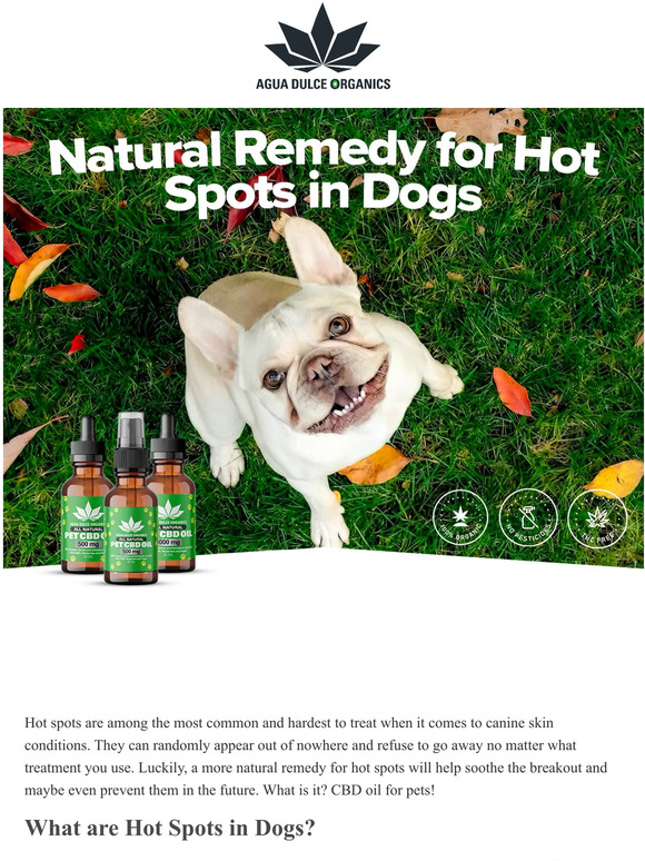 Agua Dulce Organics Natural Remedy for Hot Spots in Dogs 🐕 Milled