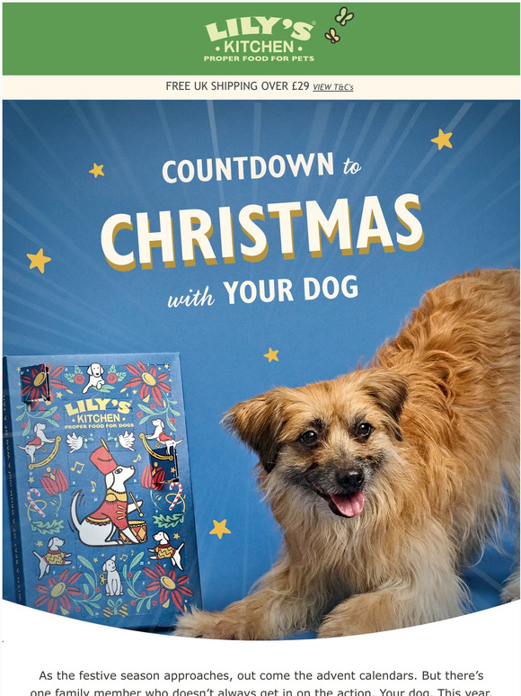 That’s your Dog’s Christmas MADE 🐶