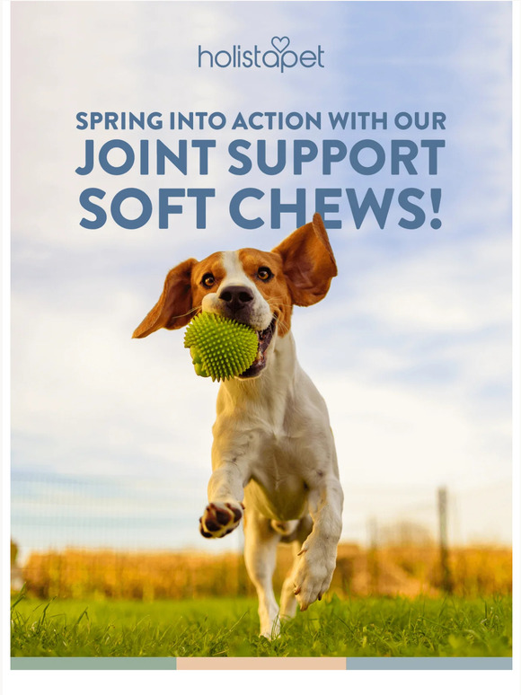 Mobility issues got your pup down? 🐾