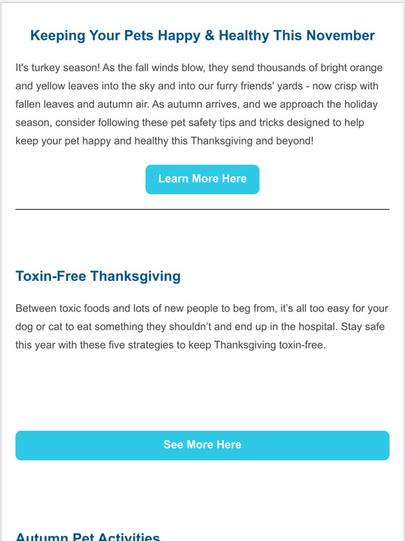 November Tips & Tricks From MetLife Pet Insurance