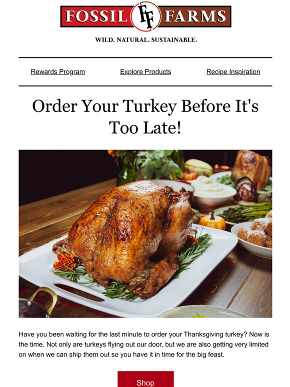 Time for Turkey is Now!
