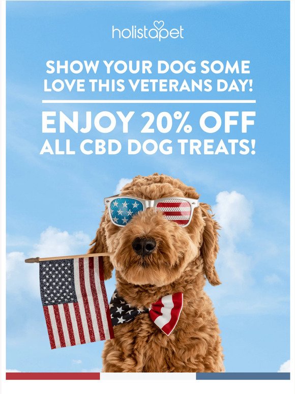 Today only: 20% off CBD Dog Treats!