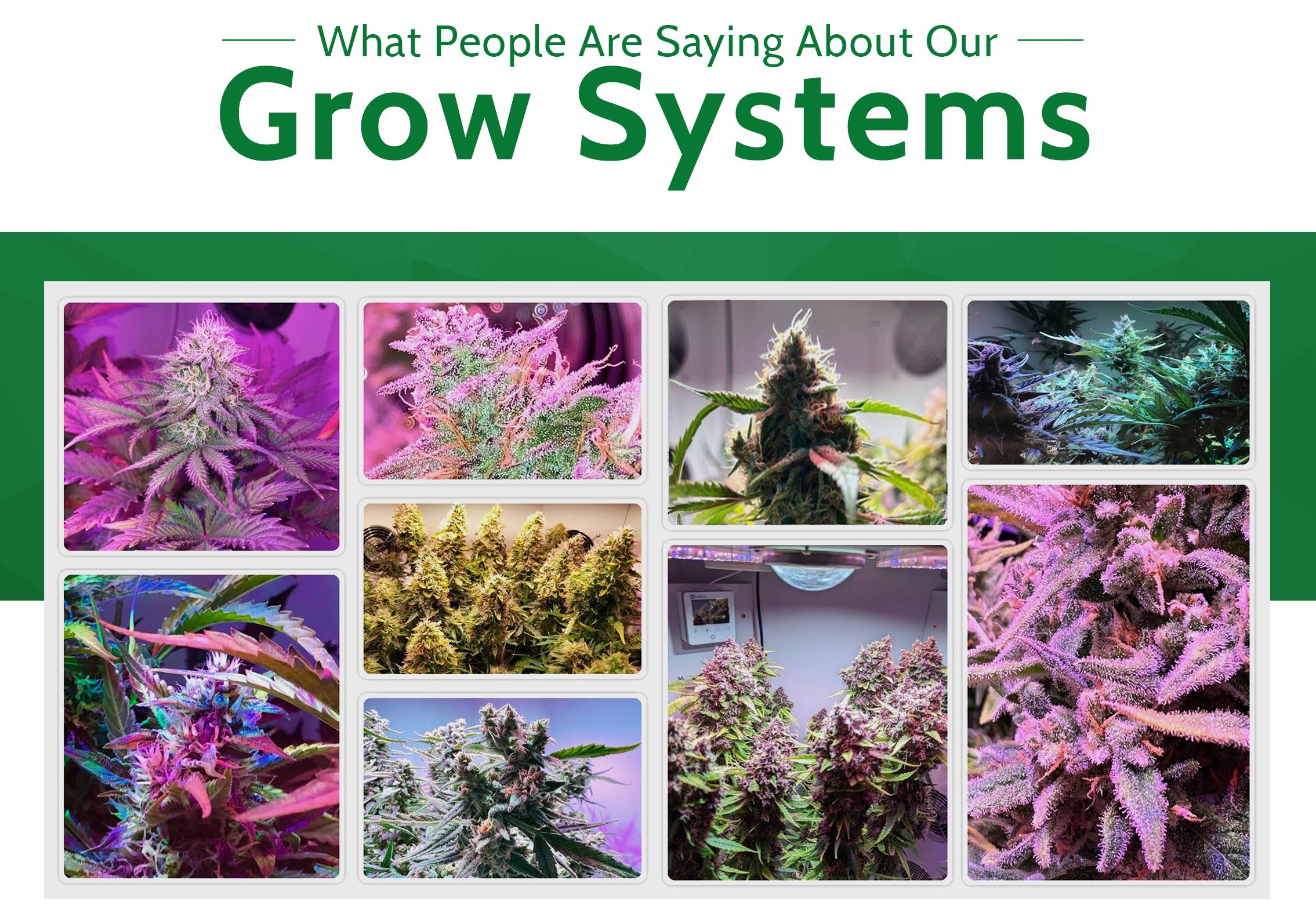 Green Goddess Supply, LLC Get impressive results with the Armoire Grow System 💪 Milled