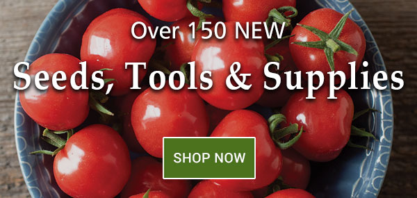 Shop Our 2023 Digital Catalog! Milled