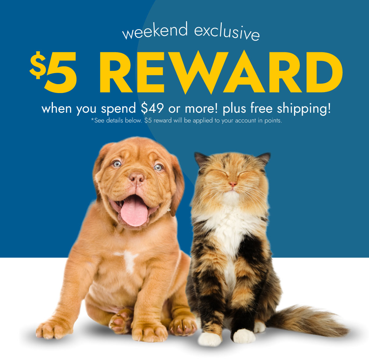 WEEKEND EXCLUSIVE OFFER: $5 REWARD WHEN YOU SPEND $49 OR MORE!