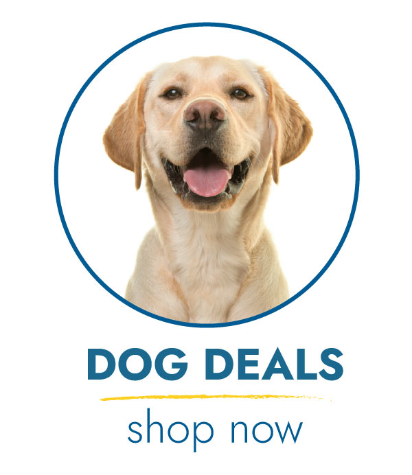 SHOP DOG DEALS