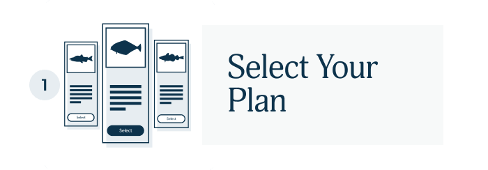 Select your plan