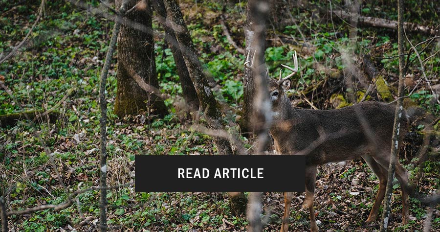 Whitetail Layering