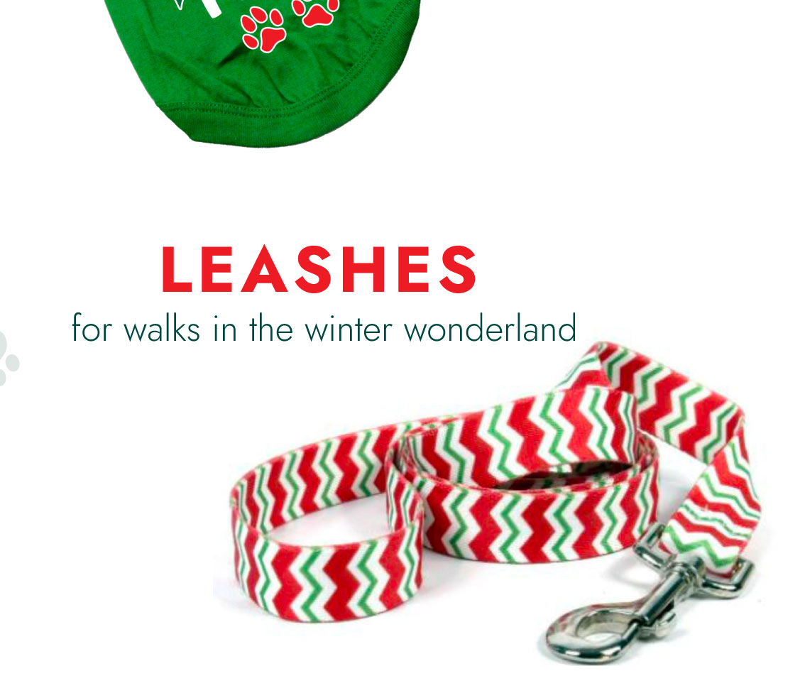SHOP LEASHES