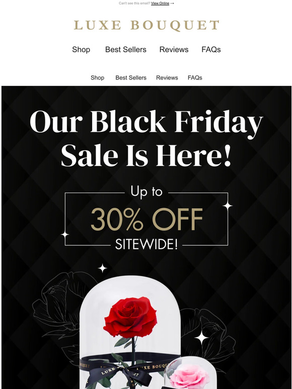 💐 It’s Finally Here! Black Friday Sale Starts Now