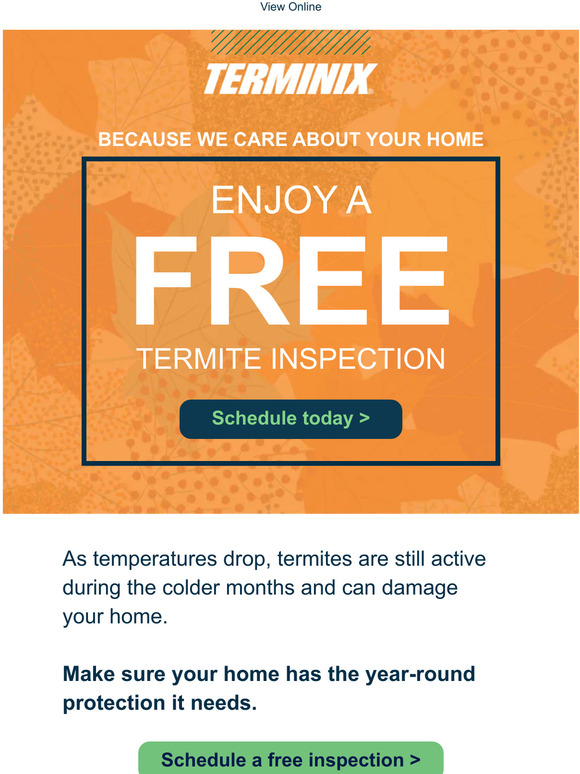 Terminix Be preparedtermites stay active in November Milled