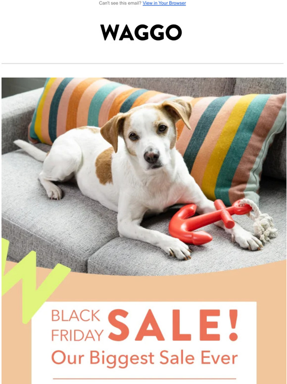 Black Friday Starts NOW!
