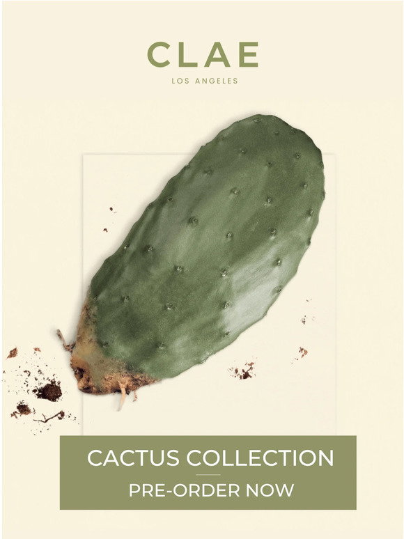 CLAE:  CACTUS COLLECTION | Organic & Vegan | Milled