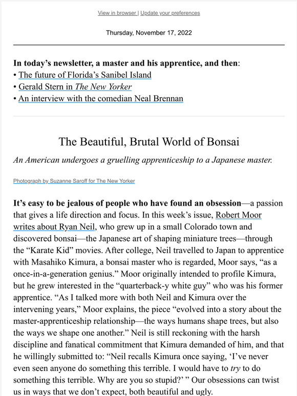 The New Yorker The Beautiful Brutal World Of Bonsai Milled 