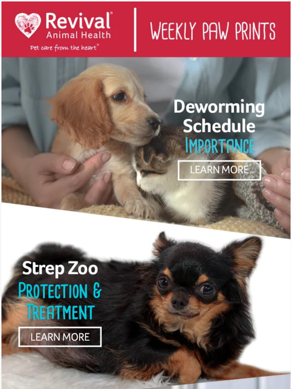 Revival Animal Health Your Pets Deserve Proactive Parasite Protection