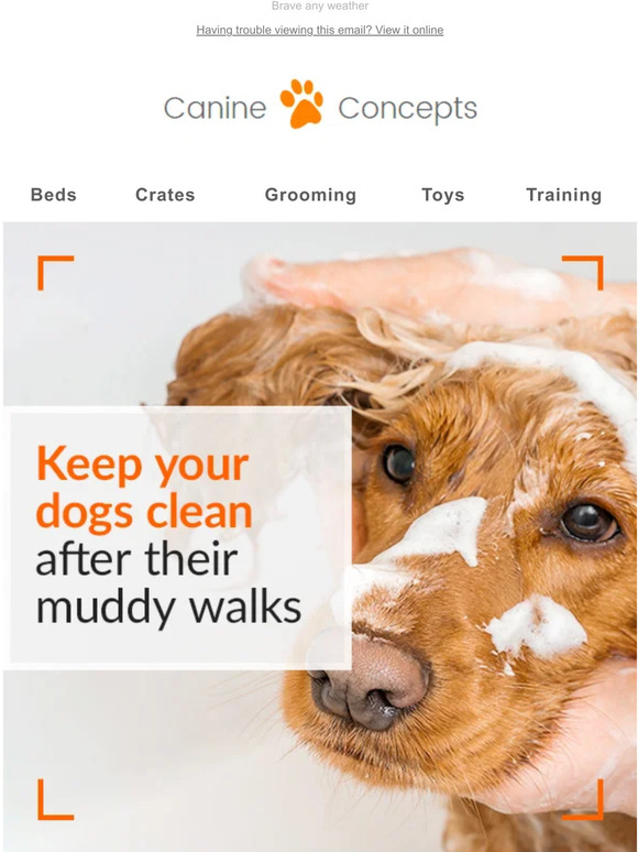 Don’t ditch the dog walk