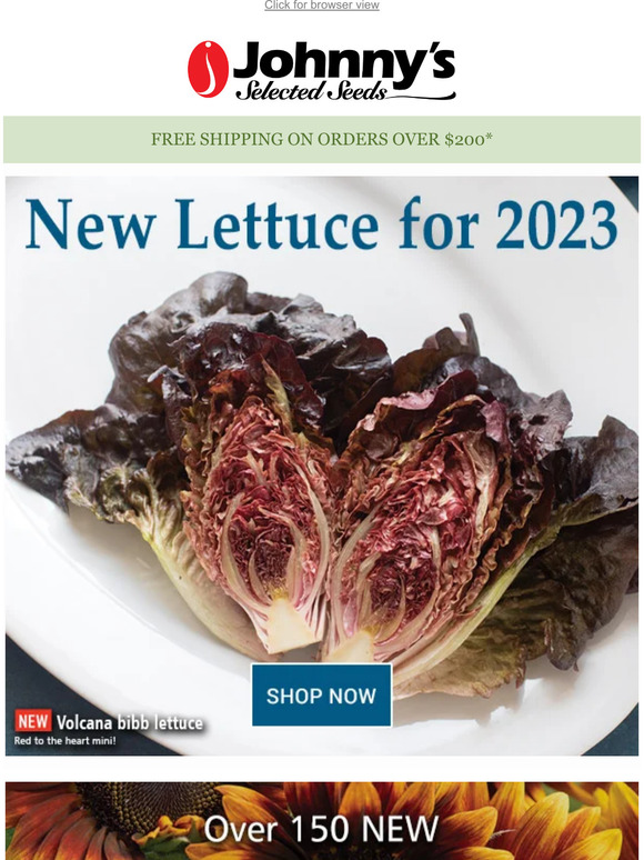 Johnny's Selected Seeds Shop New Lettuce for 2023! Milled