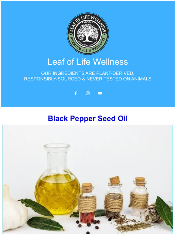 Leaf of Life Wellness Top 4 Reasons Why Black Pepper Seed Oil is Anti
