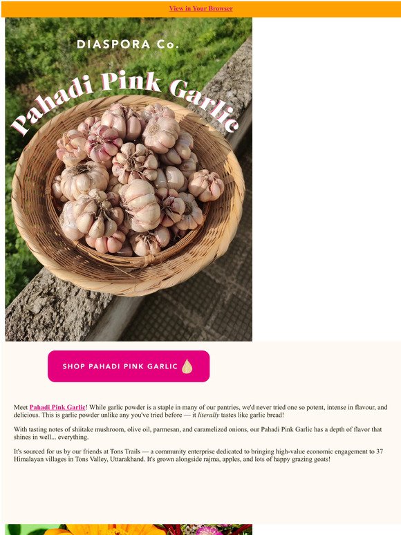 NEW: Pahadi Pink Garlic 🧄❣️