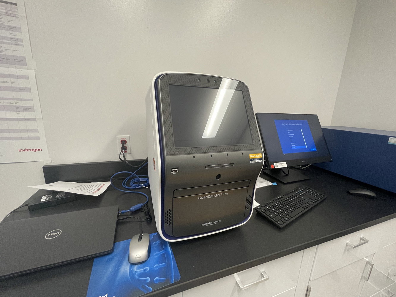 featured asset