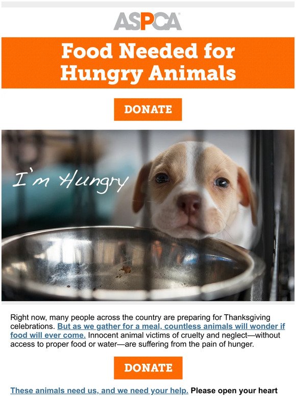 Needed Now: Food for Rescued Animals