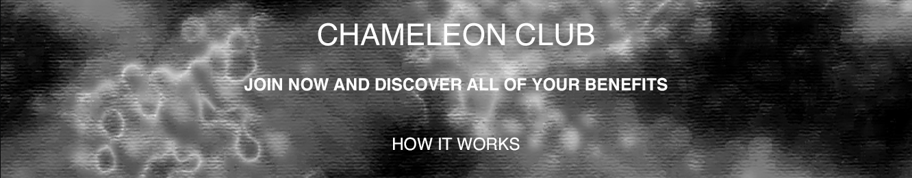 header chameleon image