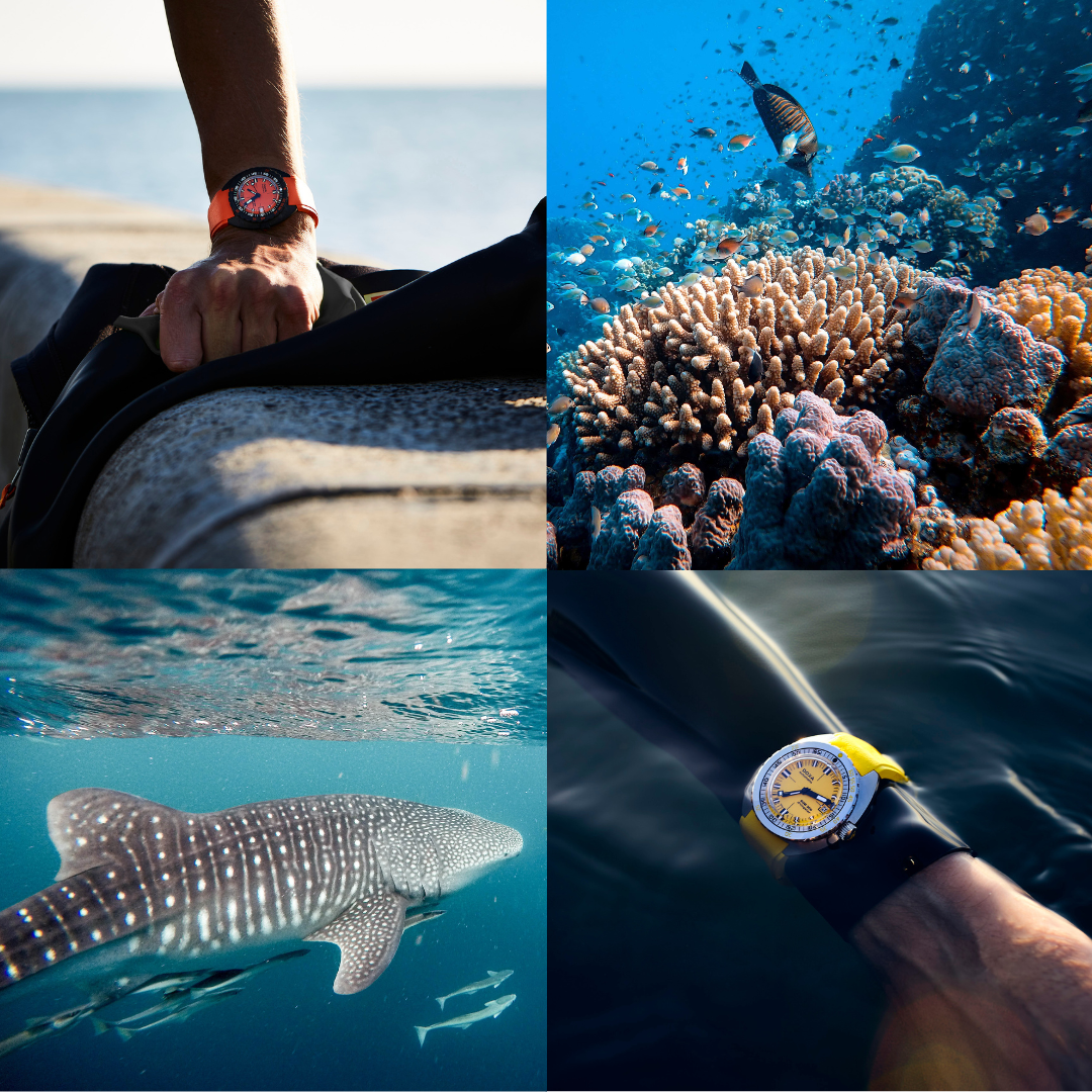 Doxa DOXA BLog DOXA DIVE GUIDE The best dive spotsOur top picks