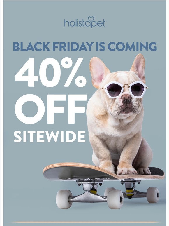 Black Friday is almost here! 🐶😸