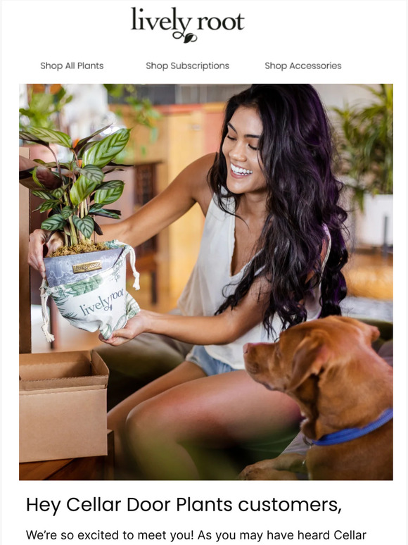 Welcome, Cellar Door Plants Customers 🌿