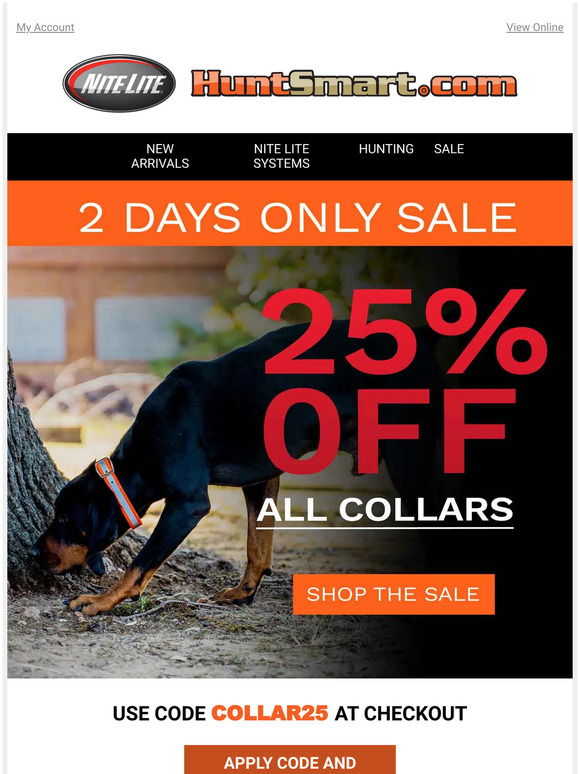 Daily Deal: 25% off Dog Collars