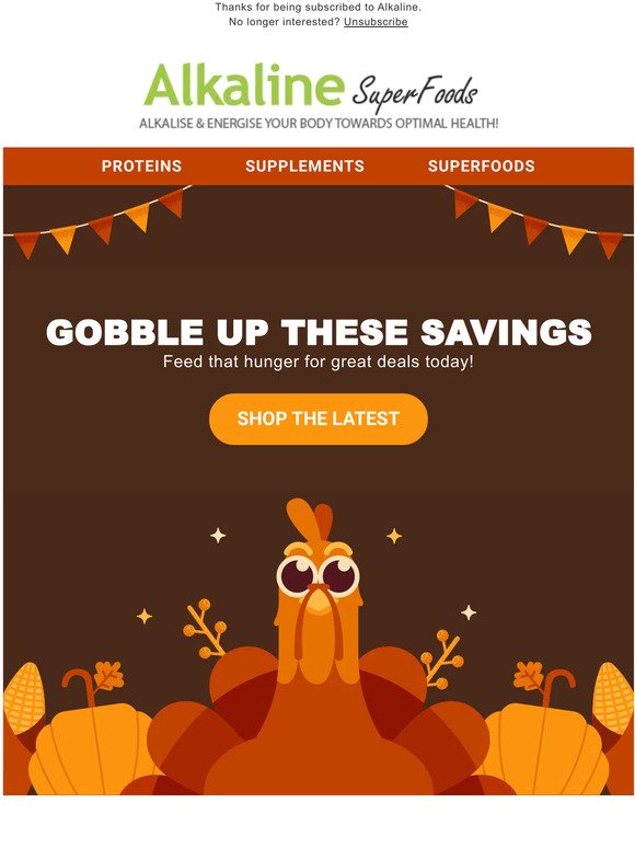 Happy Thanksgiving - 70% Off Sale