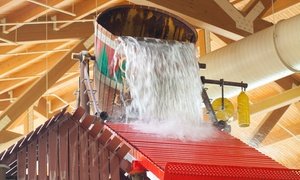 Great Wolf Lodge Water Park Resort in Traverse City
