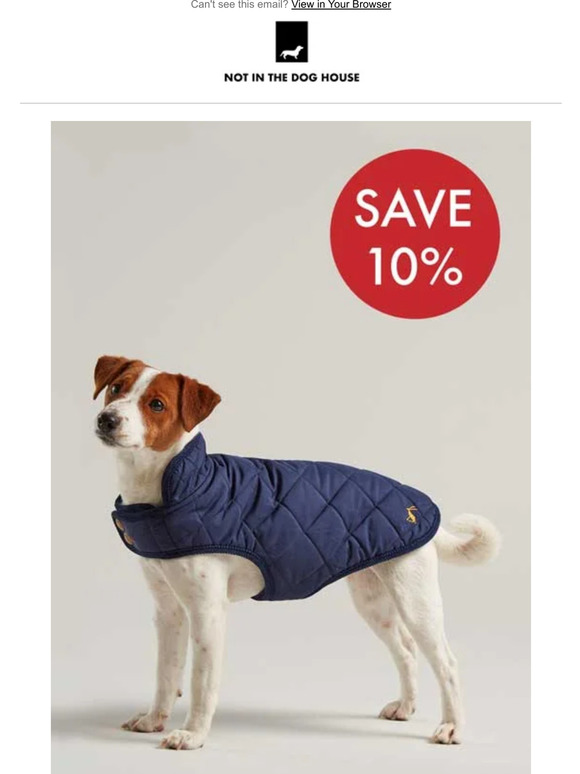 10% Off Dog Coats 🐶