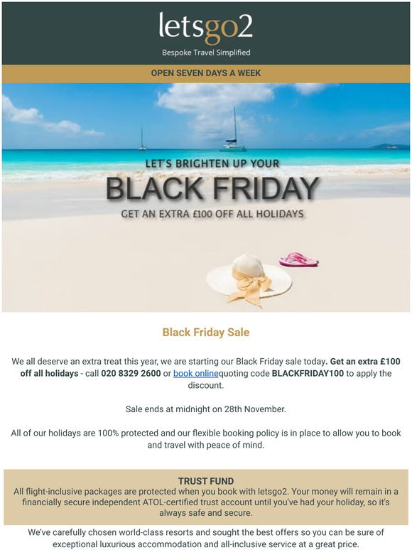 Black Friday Sale